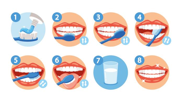 Zähne richtig putzen